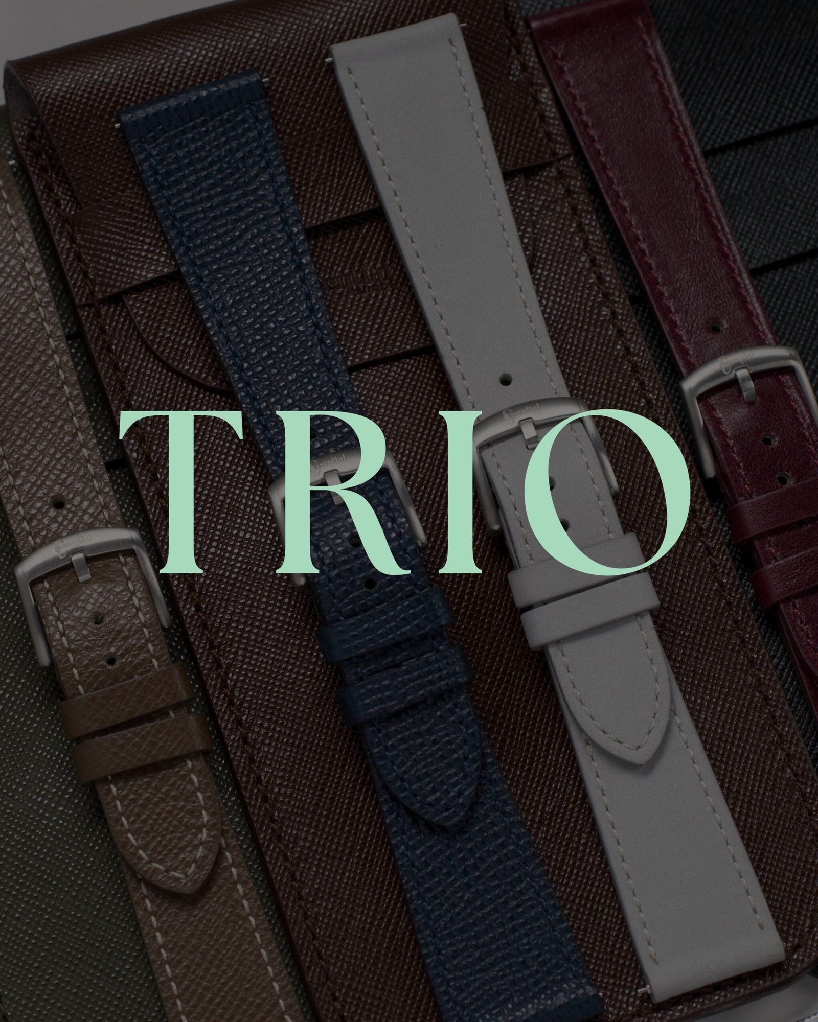 Trio Kit – Essential Straps
